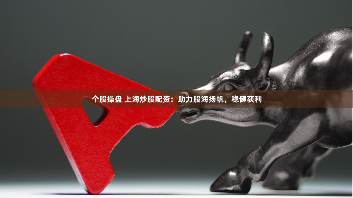 个股操盘 上海炒股配资：助力股海扬帆，稳健获利