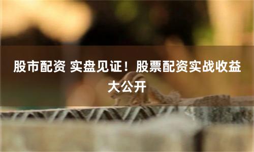 股市配资 实盘见证！股票配资实战收益大公开