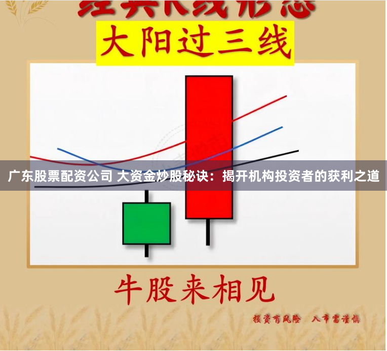 广东股票配资公司 大资金炒股秘诀：揭开机构投资者的获利之道