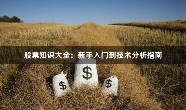 股票知识大全：新手入门到技术分析指南